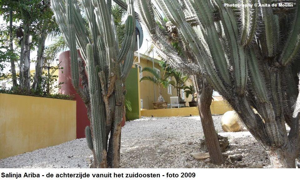 19, Salinja Ariba achterzijde op het zuidoosten 2009